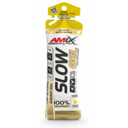 Amix Performance SLOW gels 45 g.