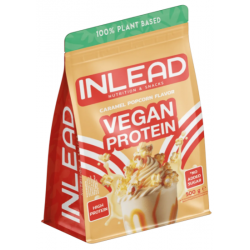 Inlead Vegan Protein 500 г. (годен до 28.02.2026)