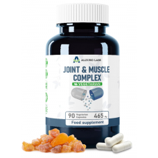 Alzuro Labs locītavu un muskuļu komplekss 90 kapsulas.