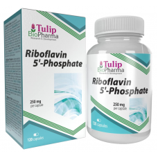 Tulip BioPharma B2 vitamīns (riboflavīna 5'-fosfāts) 120 kapsulas.