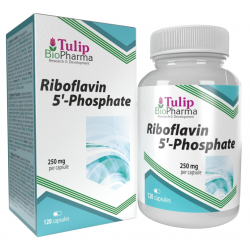 Tulip BioPharma B2 vitamīns (riboflavīna 5'-fosfāts) 120 kapsulas.