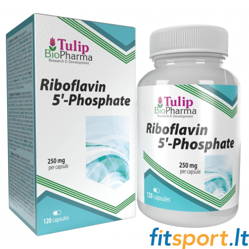 Tulip BioPharma B2 vitamīns (riboflavīna 5'-fosfāts) 120 kapsulas. 