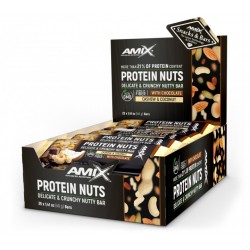 Amix Protein Rieksti 25 x 40 g.