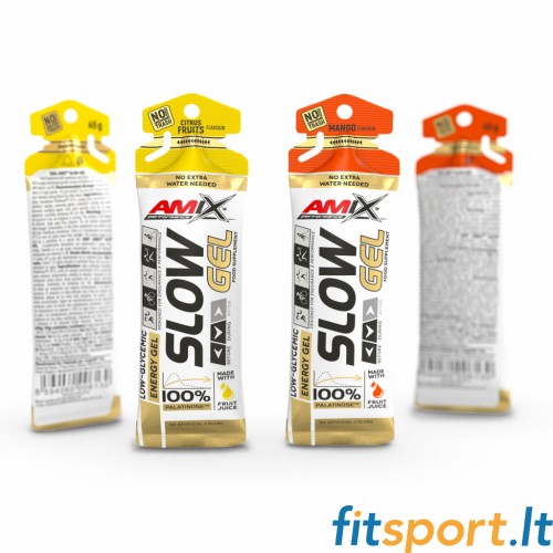 Amix Performance Slow Gel 45g. (ar garšu) 